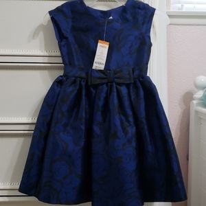 Gymboree New Blue Dress size 6